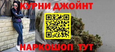 гидра Новодвинск
