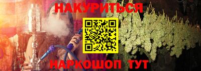 гидра Новодвинск