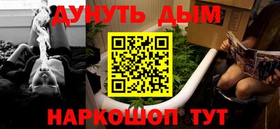 гидра Новодвинск