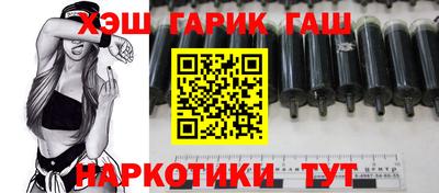гидра Новодвинск