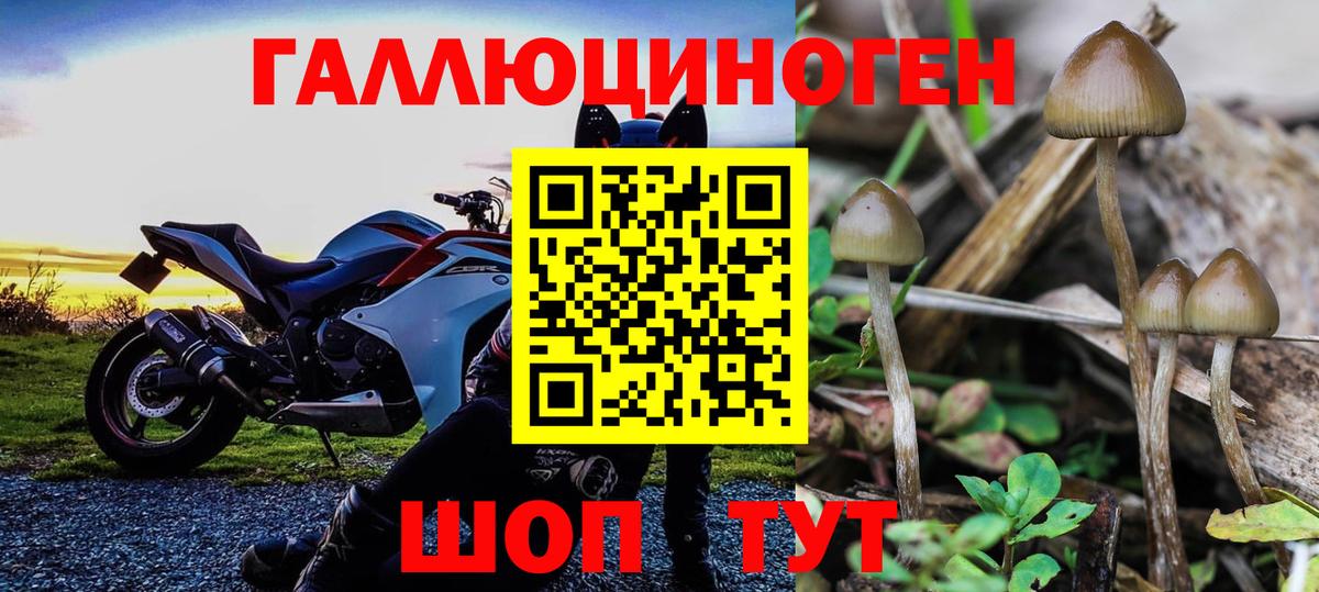 Галлюциногенные грибы ЛСД Ульяновск
